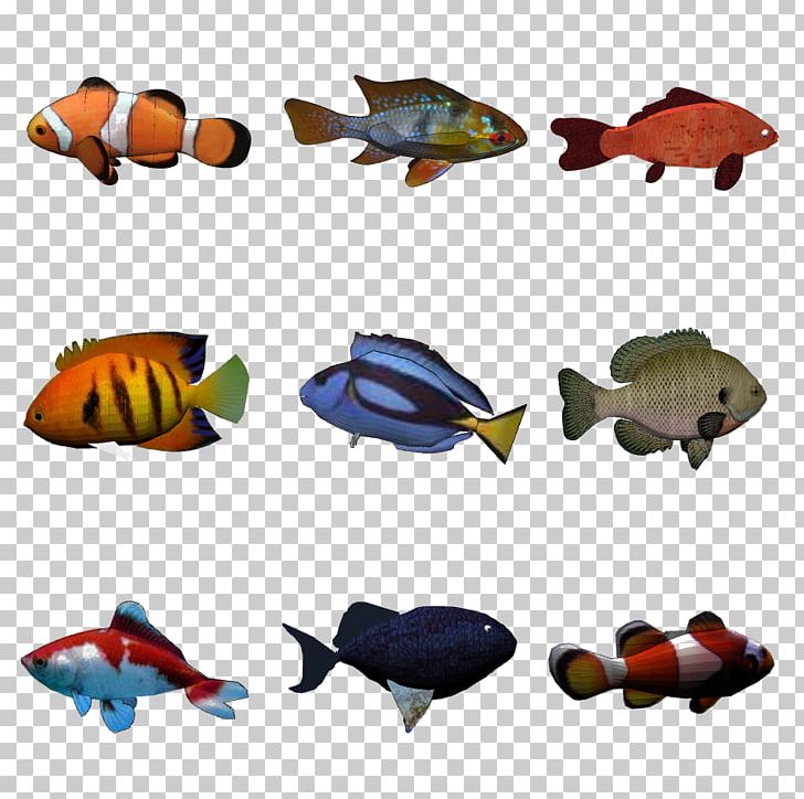 Object Detection Freshwater Fish Exemplar Theory PNG, Clipart, Animal Figure, Animals, Biology, Diversity Of Fish, Exemplar Theory Free PNG Download