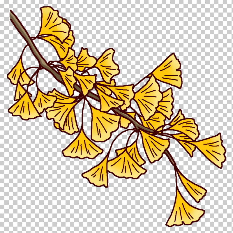 Plant Stem Branch Insect Leaf Petal PNG, Clipart, Branch, Flower, Insect, Leaf, Line Free PNG Download