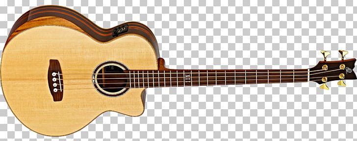 Acoustic Bass Guitar Acoustic Guitar Takamine Guitars PNG, Clipart, Acoustic Bass Guitar, Double Bass, Guitar Accessory, Music, Musical Instrument Free PNG Download