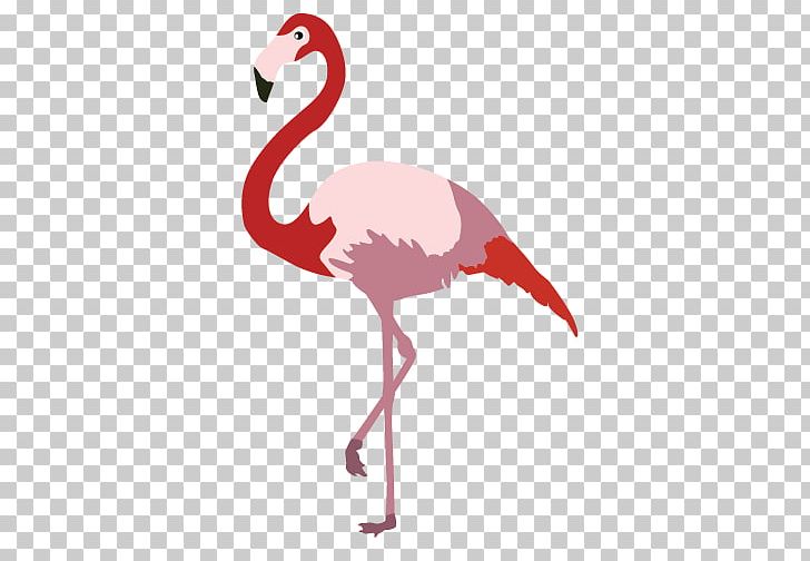 Cartoon Flamingo Bird PNG, Clipart, Animals, Art, Beak, Bird, Cartoon Free PNG Download