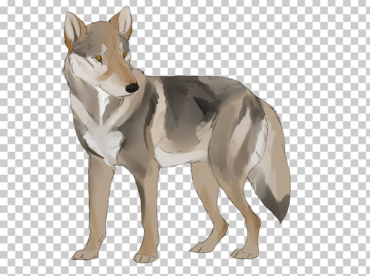 Czechoslovakian Wolfdog Saarloos Wolfdog Coyote Dog Breed Red Wolf PNG, Clipart, Animal, Breed, Carnivoran, Coyote, Czechoslovakia Free PNG Download