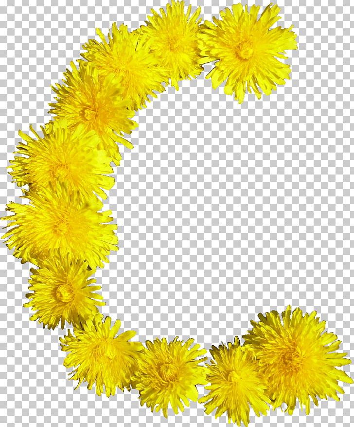 Flower Blume PNG, Clipart, Blume, Blumen, Byte, Chrysanths, Computer Icons Free PNG Download