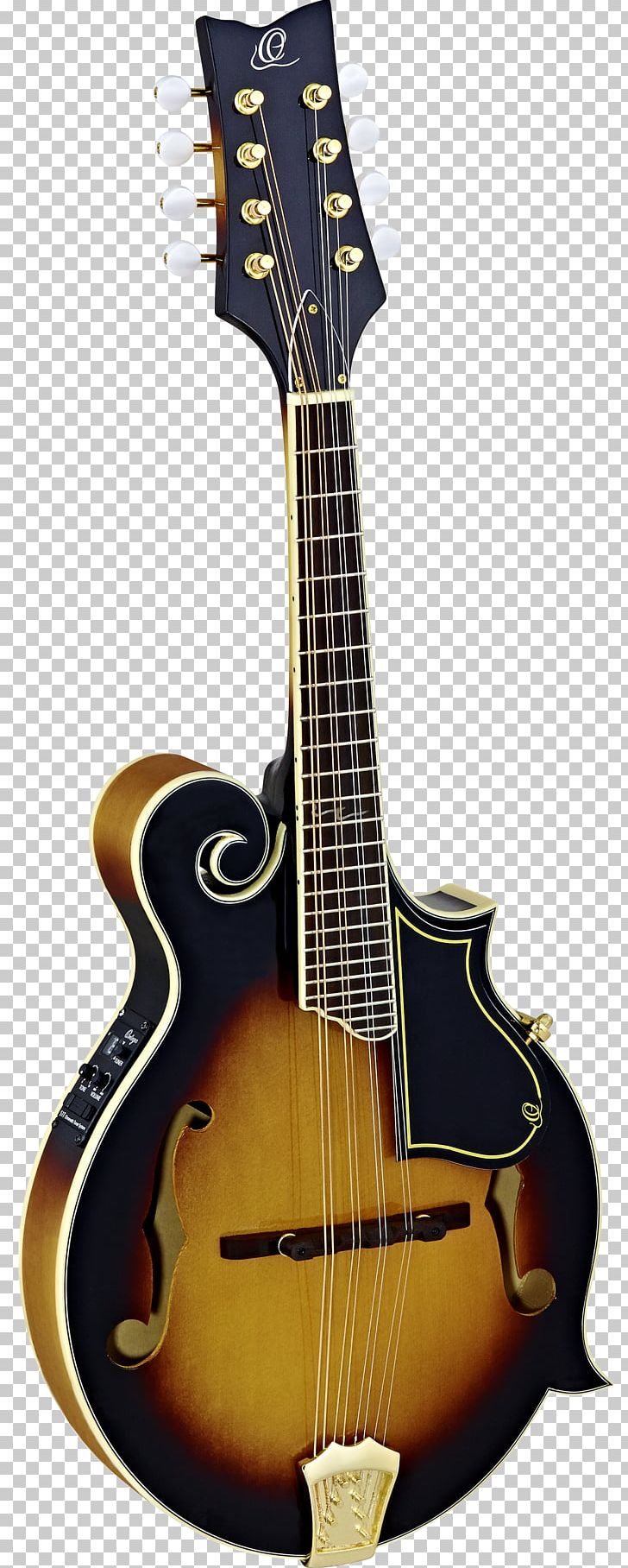 Mandolin Tanglewood Guitars Musical Instruments String Instruments PNG, Clipart, Acoustic Electric Guitar, Amancio Ortega, Bridge, Cuatro, Guitar Accessory Free PNG Download