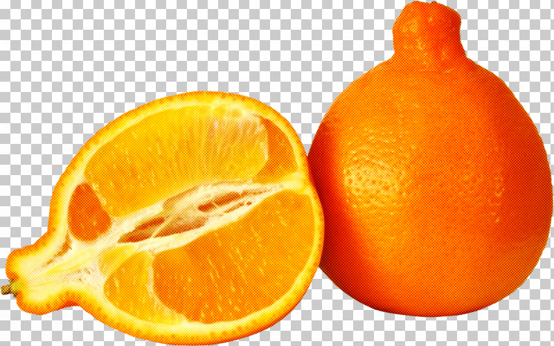 Tangelo Clementine Tangerine Fruit Tangerine PNG, Clipart, Bitter Orange, Blood Orange, Citrus, Clementine, Fruit Free PNG Download