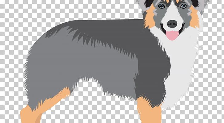 Border Collie Australian Shepherd Dog Breed Companion Dog Berger Blanc Suisse PNG, Clipart, Australian Shepherd, Berger Blanc Suisse, Border Collie, Breed, Canadian Kennel Club Free PNG Download
