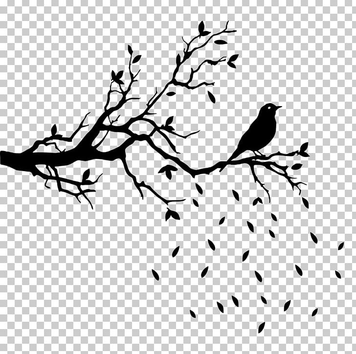 Branch Wall Decal Tree PNG, Clipart, Art, Artwork, Beak, Bird, Black Free PNG Download