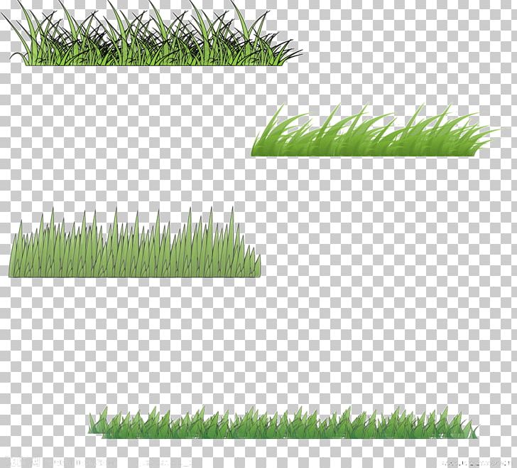 Motif Euclidean PNG, Clipart, Angle, Art, Frame Free Vector, Free Logo Design Template, Grass Free PNG Download