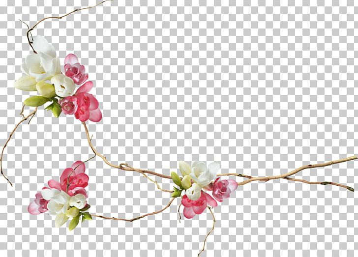 Photography Instagram PNG, Clipart, Artificial Flower, Blossom, Branch, Cherry Blossom, Computer Software Free PNG Download