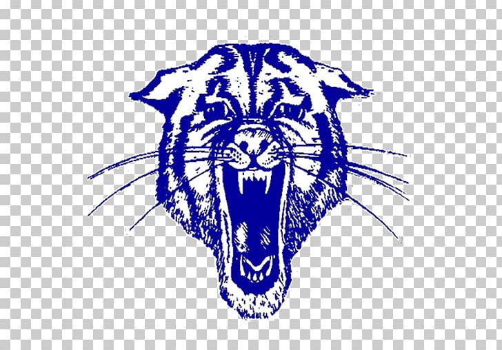 Tiger Hector High School Wildcat Bigelow High School PNG, Clipart, Animals, Big Cats, Bigelow High School, Black And White, Carnivoran Free PNG Download