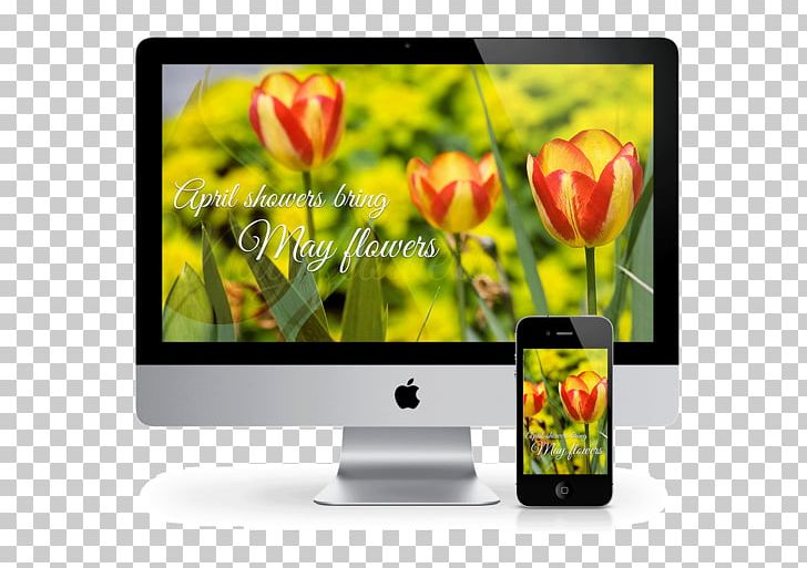 Computer Monitors Multimedia Apple IMac Retina 5K 27" (2017) Television Display Advertising PNG, Clipart, Advertising, Computer Monitor, Computer Monitors, Display Advertising, Display Device Free PNG Download