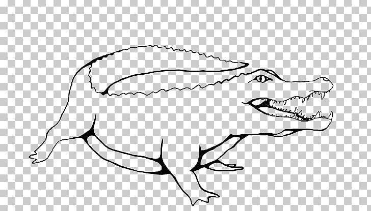 Crocodiles Coloring Book American Alligator Child PNG, Clipart, Adult, Alligator, Animal, Animals, Art Free PNG Download