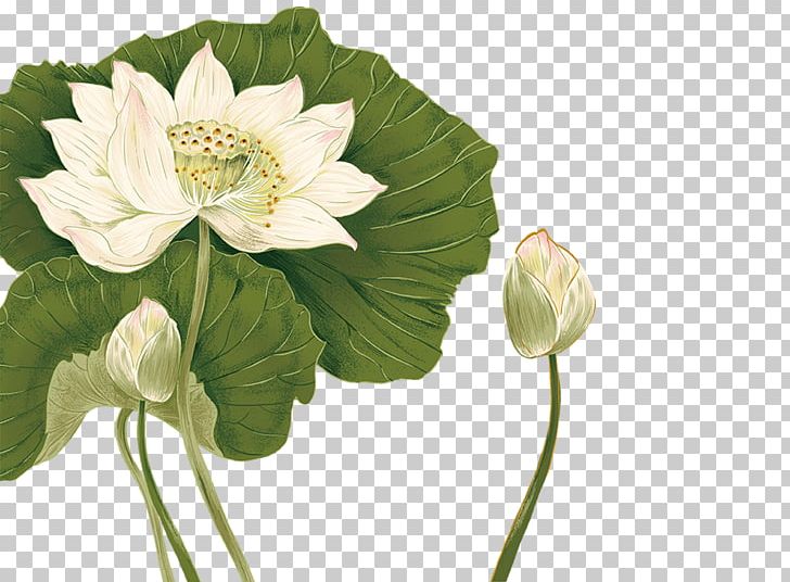 Ink Wash Painting Nelumbo Nucifera Chinoiserie PNG, Clipart, Annual Plant, Aquatic Plant, Art, Chinese, Chinese Style Free PNG Download
