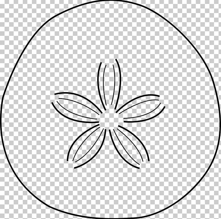 Sand Dollar Starfish PNG, Clipart, Area, Artwork, Beach, Black, Black And White Free PNG Download