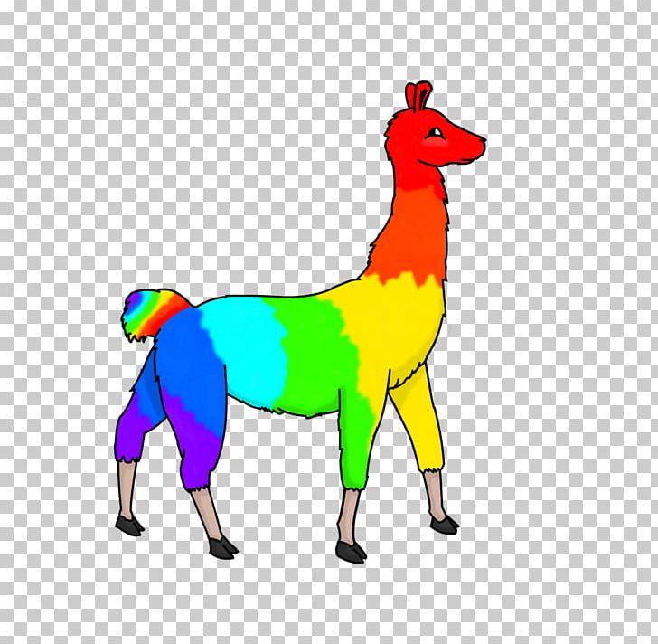 Llama Animal Drawing Desktop PNG, Clipart,  Free PNG Download