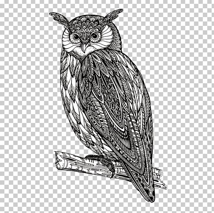 Owl PNG, Clipart, Animal, Animals, Art, Beak, Bird Free PNG Download