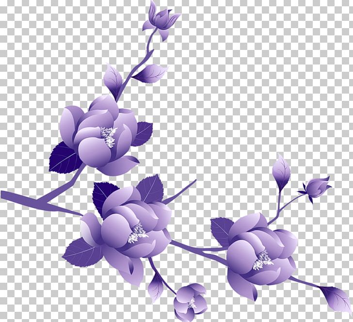 Purple Flower Rose PNG, Clipart, Blossom, Branch, Clip Art, Color, Cut Flowers Free PNG Download