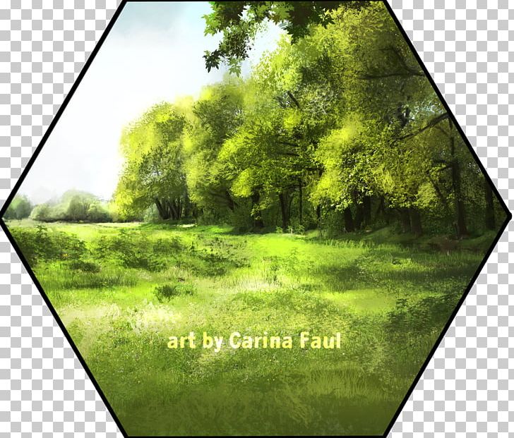 Ecosystem Vegetation Nature Meadow Lawn PNG, Clipart, Ecosystem, Family, Grass, Grasses, Grass Family Free PNG Download