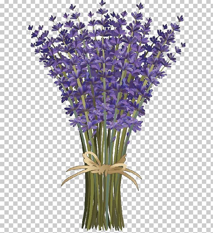 English Lavender Flower Bouquet French Lavender PNG, Clipart, Cut Flowers, Drawing, English Lavender, Floral Design, Flower Free PNG Download