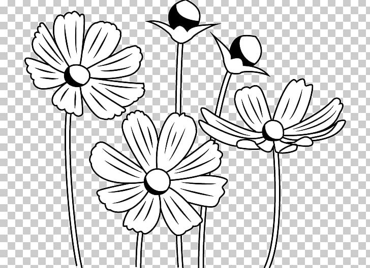 Floral Design Black And White Monochrome Painting Drawing PNG, Clipart, Artwork, Black And White, Cartoon, Cosmos Pharmaceutical Corporation, Cut Flowers Free PNG Download