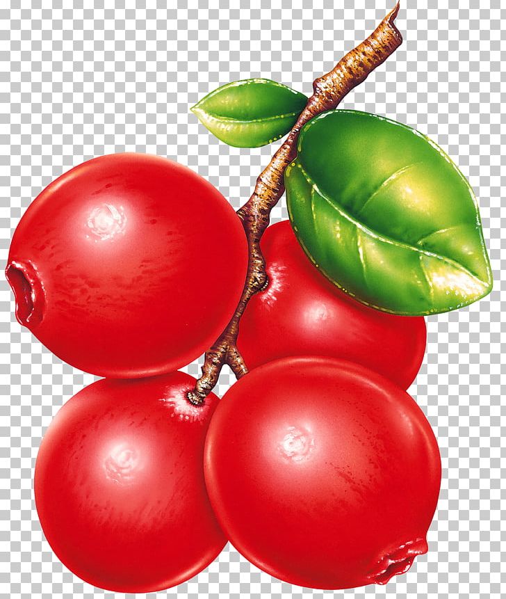 Fruit Preserves Berry PNG, Clipart, Blueberry, Bush Tomato, Christmas, Christmas Ornament, Computer Icons Free PNG Download