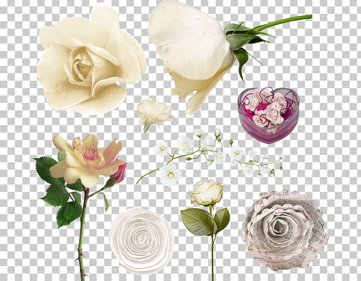 Garden Roses Cabbage Rose Floral Design Cut Flowers PNG, Clipart, Artificial Flower, Cut Flowers, Flora, Floral Design, Floristry Free PNG Download