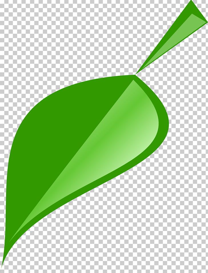 Leaf Green PNG, Clipart, Autumn Leaf Color, Computer Icons, Drawing, Fern, Grass Free PNG Download