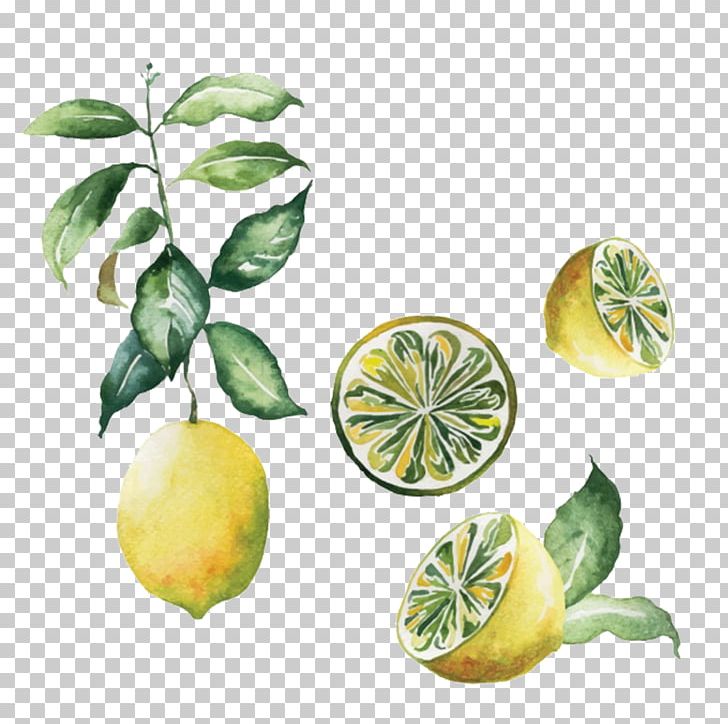 Scandinavia Poster Lemon Watercolor Painting PNG, Clipart, Citrus, Creative Background, Food, Fruit, Fruit Nut Free PNG Download