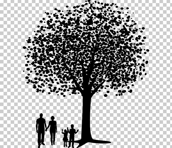 Branch Tree Black PNG, Clipart, Black, Black And White, Branch, Family Tree, From Under The Cork Tree Free PNG Download