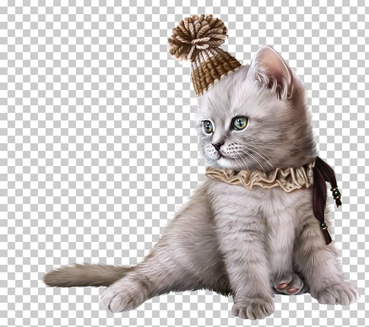 Cat Kitten Animation PNG, Clipart, American Shorthair, Animal, Animals, Carnivoran, Cat Like Mammal Free PNG Download