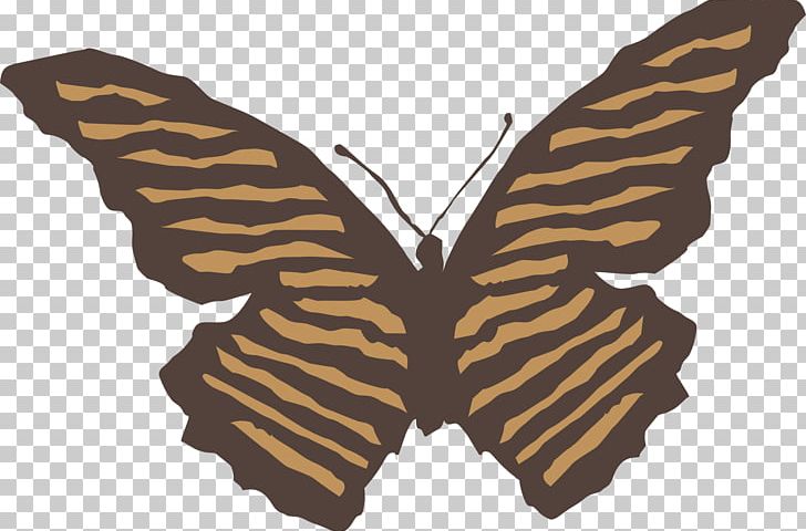 Composer Suite Bergamasque Insect Pachelbel's Canon Butterflies And Moths PNG, Clipart, Animals, Arthropod, Brush Footed Butterfly, Butterflies And Moths, Butterfly Free PNG Download