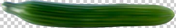 Cucumber Melon Cucurbitaceae Vegetable PNG, Clipart, Cucumber, Cucumber Gourd And Melon Family, Cucumis, Cucurbitaceae, Food Free PNG Download