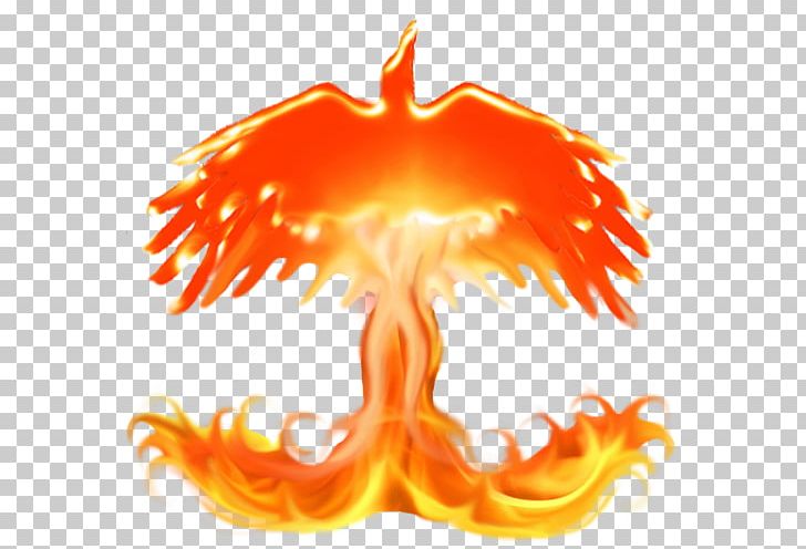 Fire Flame Logo Wiki PNG, Clipart, Computer Wallpaper, Copyright, Desktop Wallpaper, Fire, Flame Free PNG Download