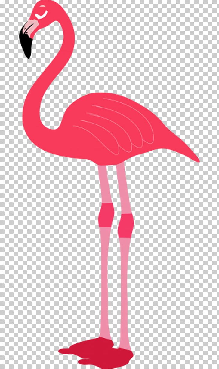 Flamingo PNG, Clipart, Animals, Beak, Bird, Cartoon, Download Free PNG Download