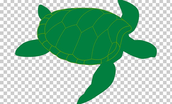 Green Sea Turtle PNG, Clipart, Animal, Download, Fauna, Free, Free Content Free PNG Download