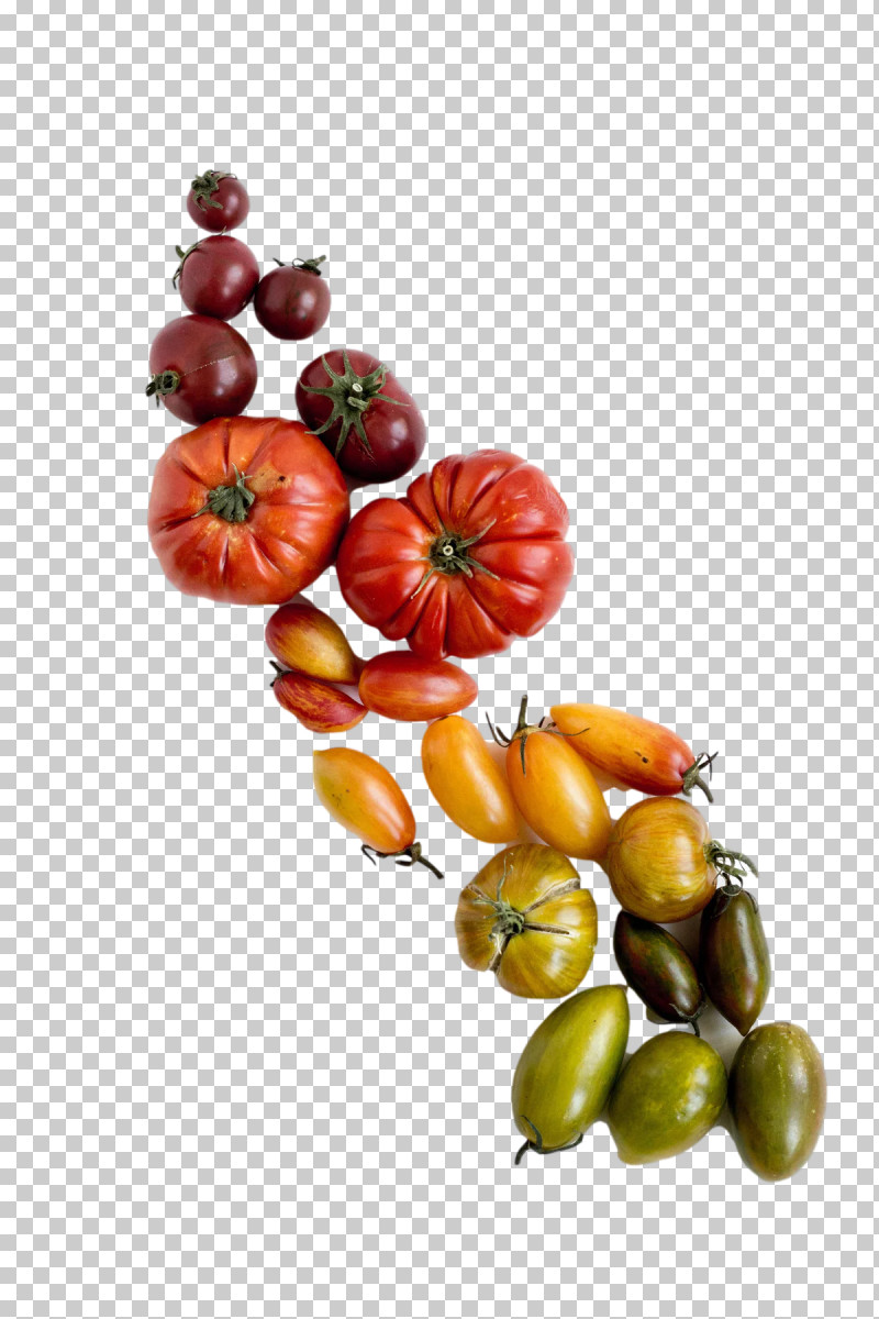 Tomato PNG, Clipart, Bean, Fruit, Grocery Store, Natural Food, Nut Free PNG Download