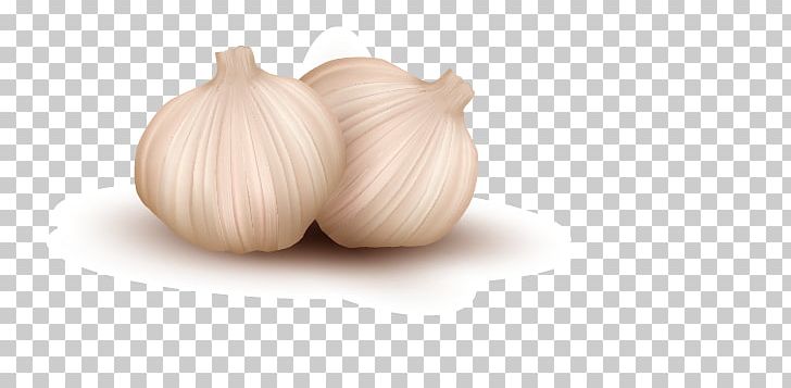 Garlic Onion Vegetable Illustration PNG, Clipart, Carrot, Cartoon Garlic, Chili Garlic, Depositphotos, Drawing Free PNG Download