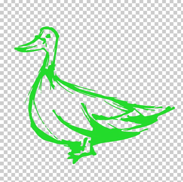 Duck Green Goose Renovations & Construction Anatidae PNG, Clipart, Anatidae, Animals, Architectural Engineering, Art, Artwork Free PNG Download