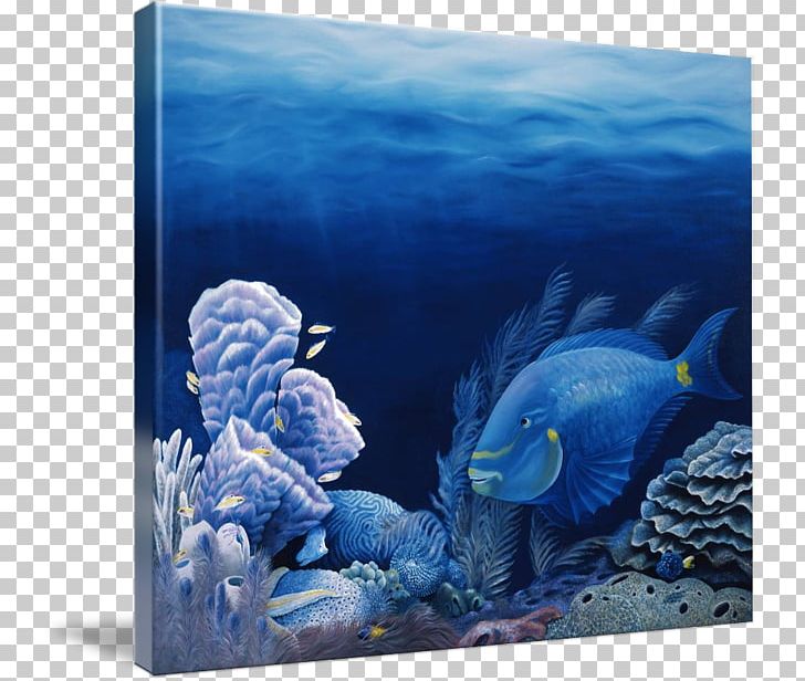 Marine Biology Lighthouse Reef Coral Reef Fish PNG, Clipart, Angelfish, Aquarium, Art, Canvas Print, Coral Free PNG Download