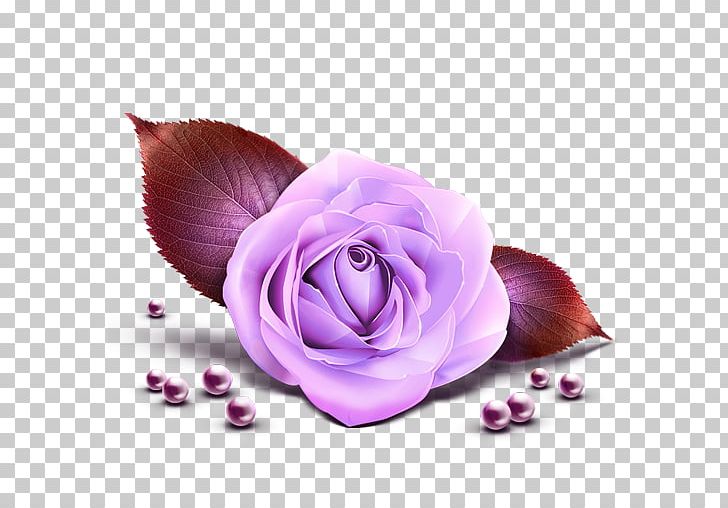 Rose Pink PNG, Clipart, Clip Art, Cut Flowers, Flower, Flowering Plant, Flowers Free PNG Download