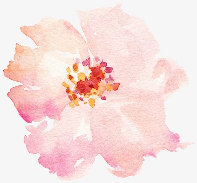 Watercolor Flowers Pale Pink PNG, Clipart, Flowers Clipart, Pale Clipart, Pink Clipart, Watercolor Clipart Free PNG Download