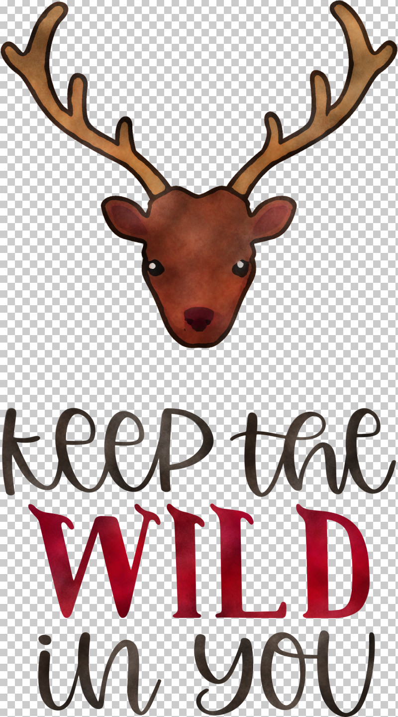 Keep Wild Deer PNG, Clipart, Antler, Deer, Keep Wild, Meter, Reindeer Free PNG Download