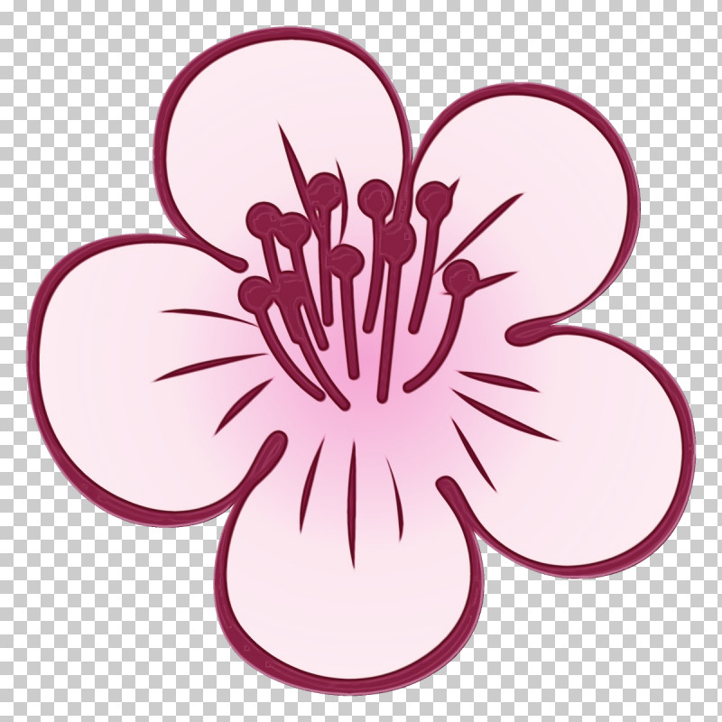 Pink Flower Plant Petal Magenta PNG, Clipart, Flower, Magenta, Paint, Petal, Pink Free PNG Download