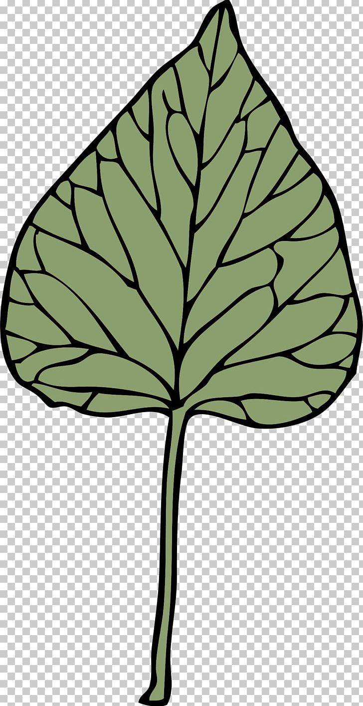Leaf Branch Others PNG, Clipart, Branch, Desktop Wallpaper, Download, Drawing, Flag Of The Austral Islands Free PNG Download