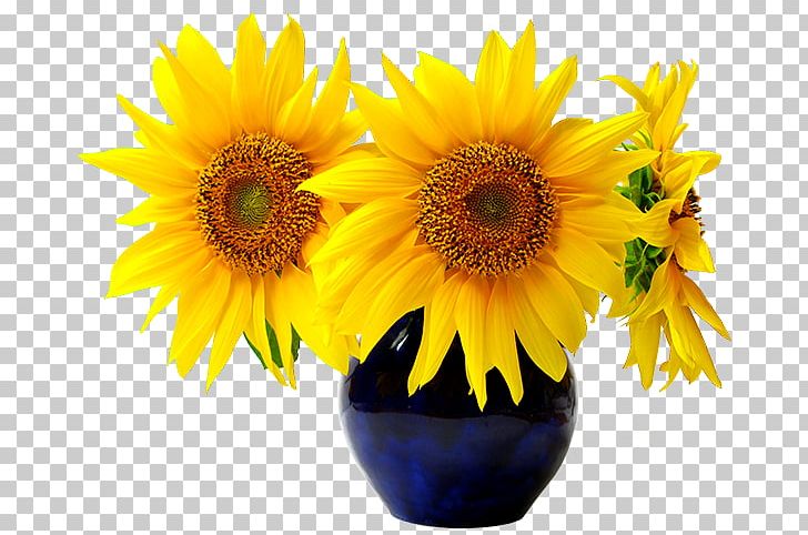 Sunflower Seed Common Sunflower Flyer PNG, Clipart, Cut Flowers, Daisy Family, Distribution, Floristry, Flower Free PNG Download