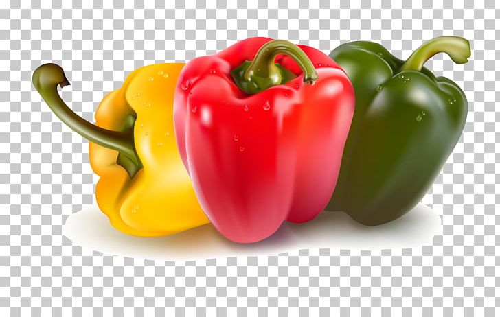 Bell Pepper Capsicum Vegetable PNG, Clipart, Bell Pepper, Bell Peppers And Chili Peppers, Capsicum, Cayenne Pepper, Chili Pepper Free PNG Download