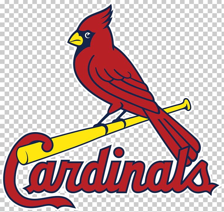 St. Louis Cardinals MLB Palm Beach Cardinals Baseball PNG, Clipart, Area, Art, Artwork, Baseball, Beak Free PNG Download