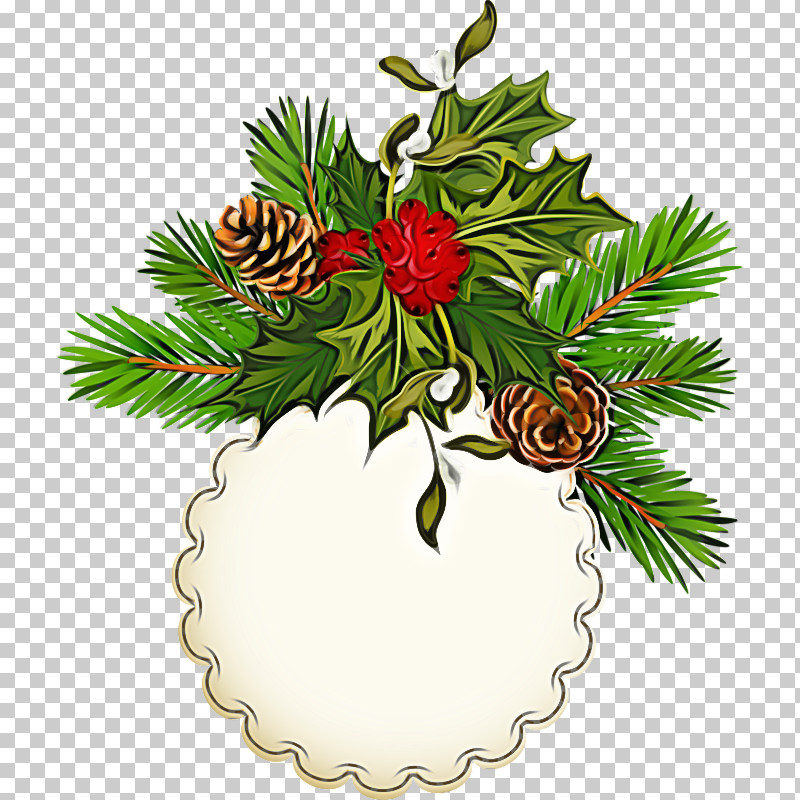 Christmas Decoration PNG, Clipart, Branch, Christmas Decoration, Christmas Eve, Christmas Ornament, Christmas Tree Free PNG Download