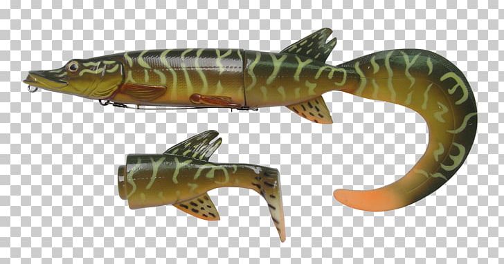 Northern Pike Fishing Baits & Lures Muskellunge Soft Plastic Bait PNG, Clipart, Angling, Animal Figure, Bait, Bass, Bony Fish Free PNG Download