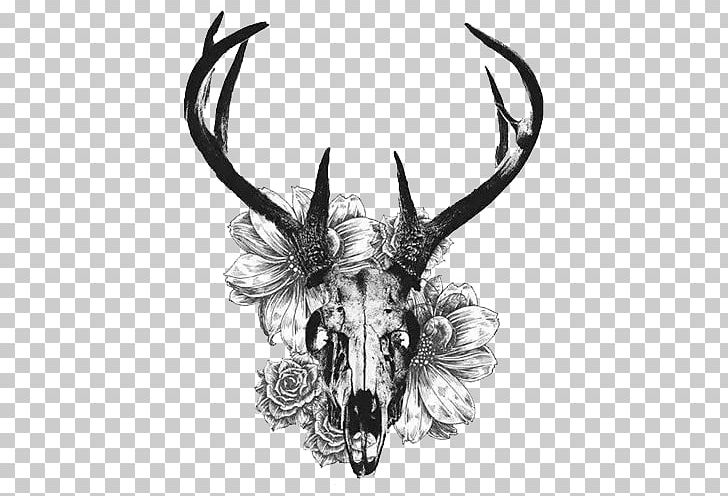 White-tailed Deer Tattoo Skull Antler PNG, Clipart, Abziehtattoo, Animals, Arm, Arm Stickers, Background Black Free PNG Download