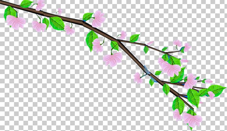 Animation PNG, Clipart, Adobe Illustrator, Animation, Blossom, Branch, Branches Free PNG Download